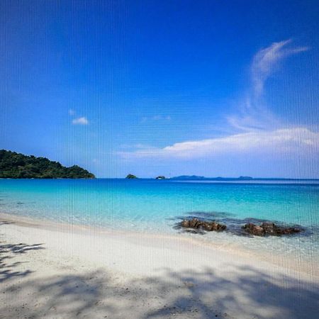 Appartement Dans Villa Roi Soleil Αντίμπ Εξωτερικό φωτογραφία